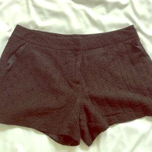 Women’s Shorts - Black - Size 8